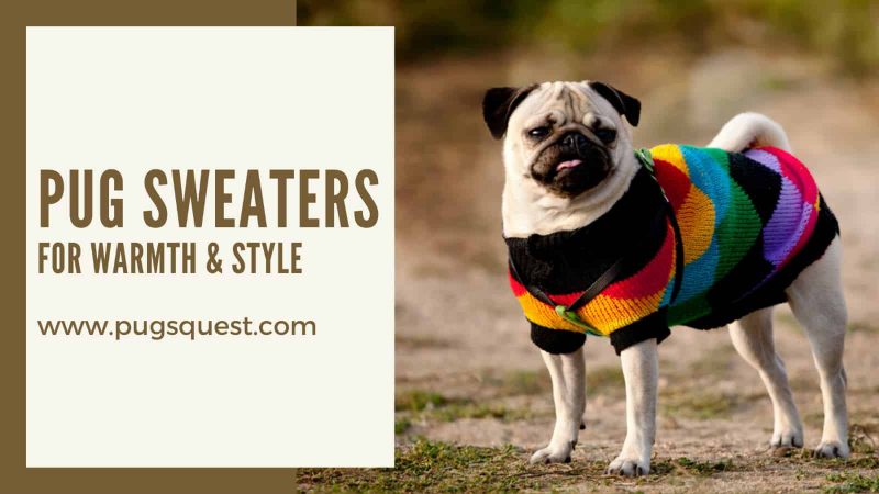 pug sweaters