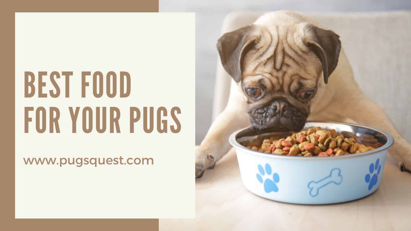 best food for pugs